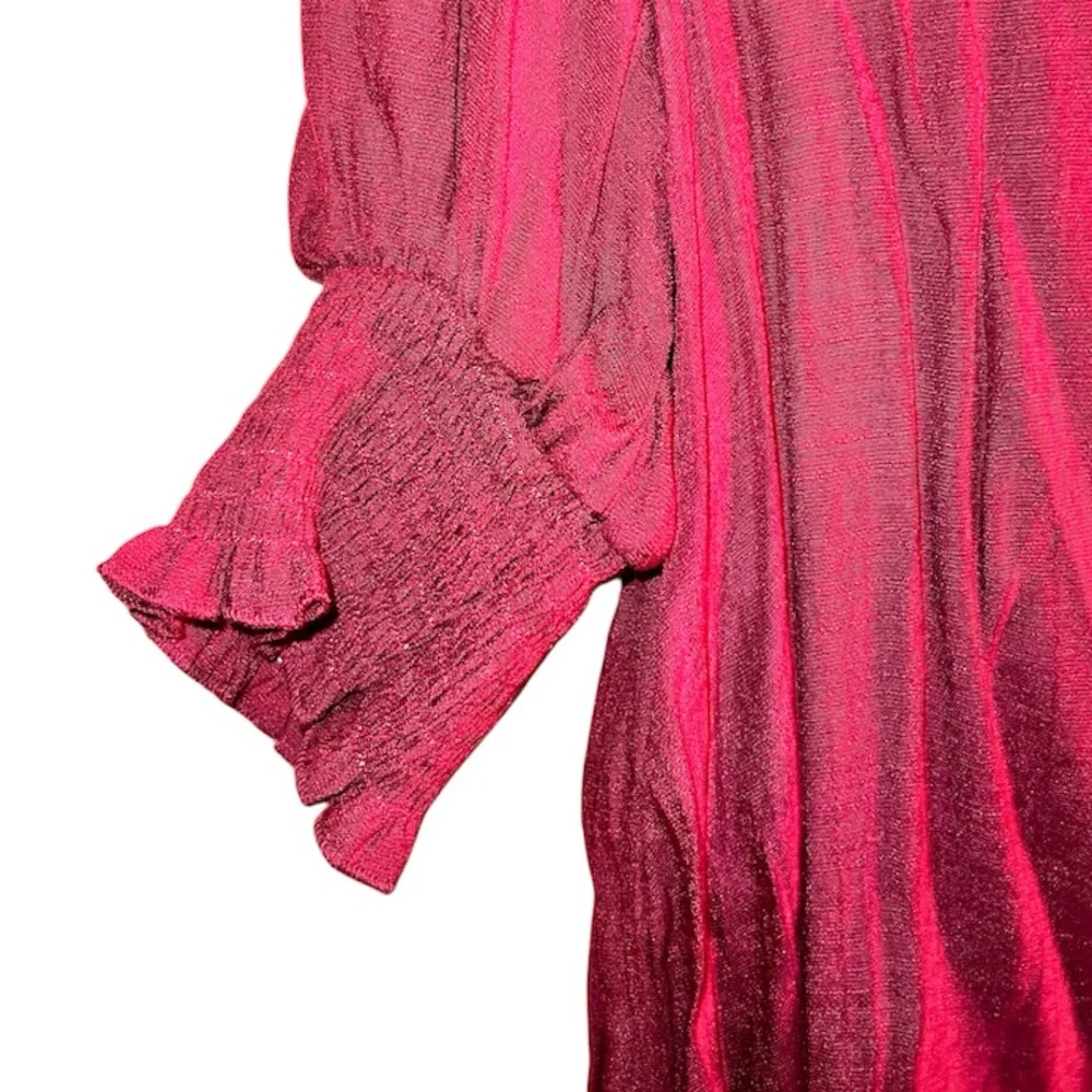 𝐒𝐇𝐄𝐈𝐍 𝐂𝐔𝐑𝐕𝐄 | RED SHEER BLOUSE - Picture 2 of 6